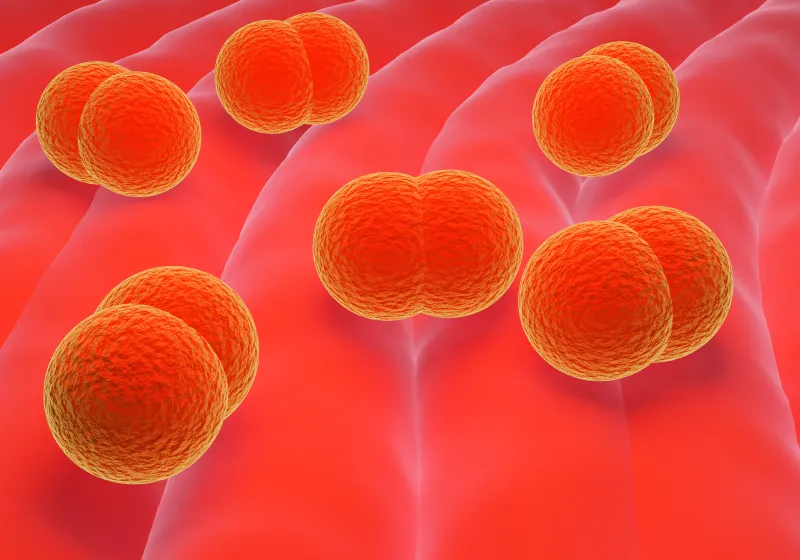 炎症物質が血流を通じて全身へ広がるメカニズム